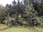 Beaverton, Gladwin County, MI Undeveloped Land, Homesites for sale Property ID: