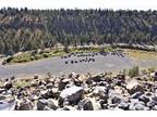 Redmond, Crook County, OR Undeveloped Land, Commercial Property for sale