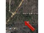 Mauk, Marion County, GA Undeveloped Land for sale Property ID: 417952756