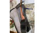 vintage Cuckoo 1930’s - 1940’s Banjolin instrument with case