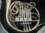 Double French horn with case and mouthpiece