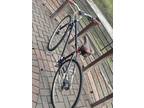 Priority Brilliant L Train Bike - Disc Brake, 8-speed, Gates Carbon Belt Drive