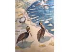 WATERCOLOR ORIGINAL 12x12 Refugio Beach Pelicans California Handmade Painting