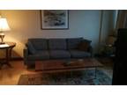 215 Piedmont Ave NE #1410, Atlanta, GA 30308