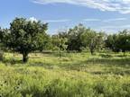 Abilene, Jones County, TX Undeveloped Land, Hunting Property