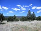 Ramah, Cibola County, NM Undeveloped Land for sale Property ID: 416958214