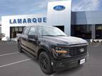 2024 Ford F-150 Black, new