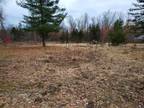 Plot For Sale In Irons, Michigan