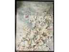 Cherry Blossom Melody Floral Framed Art Painting
