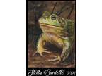 ACEO Original North American Bullfrog OOAK - Stella Burdette
