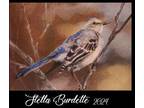 ACEO Original North American Birds/ Northern Mockingbird OOAK - Stella Burdette