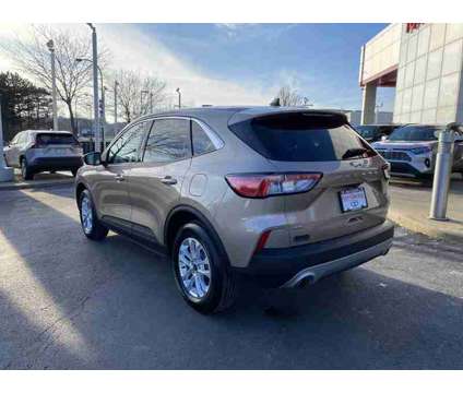 2021 Ford Escape SE is a Gold 2021 Ford Escape SE SUV in Akron OH