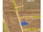 Pahrump, Nye County, NV Undeveloped Land, Homesites for rent Property ID: