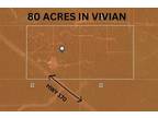 Vivian, Caddo Parish, LA Undeveloped Land for sale Property ID: 416506316