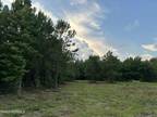 NEAR 1669 KLONperson ROAD, Chadbourn, NC 28431 Land For Sale MLS# 100389108