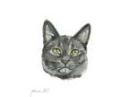 ACEO Original Watercolor Painting 2.5"x3.5" Black Kitty Cat Pet Portrait