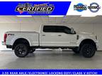 2017 Ford F-250SD Platinum