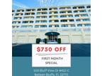 100 Bluff View Dr #412C, Belleair Bluffs, FL 33770