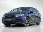 2024 Honda Odyssey Blue, new