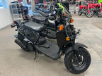 2024 Honda Ruckus