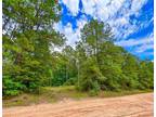 Plot For Sale In Corrigan, Texas