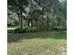 0 NW 174TH PL, Fanning Springs, FL 32693 Land For Sale MLS# 787044