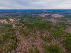 Mineola, Wood County, TX Undeveloped Land for sale Property ID: 418546907