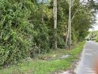 Hampton, Hampton County, SC Undeveloped Land, Commercial Property for sale