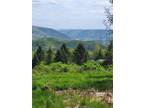 186 CHEESE FACTORY RD, Deposit, NY 13754 Agriculture For Sale MLS# OD137689