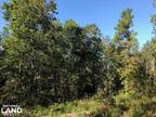 Purvis, Lamar County, MS Timberland Property, Hunting Property for sale Property