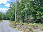 Lot 41 Franks Cove, Unit 41, Brevard, NC 28712