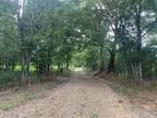 Conehatta, Newton County, MS Undeveloped Land for sale Property ID: 418599488