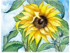 Sunflowers Watercolor original painting Nature