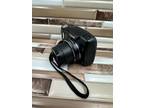 Canon PowerShot SX110 IS 9.0MP Digital Point Shoot Camera Black 10X Optical Zoom