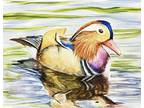 Bird Watercolor original painting Mandarin Duck Lake Wildlife Nature