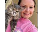 LVT Pet Sitter in Conroe, Texas ???? Trustworthy Care at $25/Hour