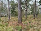 0 OLD BRADY ROAD, Loxley, AL 36551 Land For Sale MLS# 356195