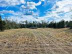 Perry, Taylor County, FL for sale Property ID: 418923988