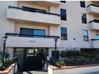 4829 Whitsett Ave #205 - Los Angeles, CA 91607 - Home For Rent