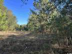 Kingstree, Williamsburg County, SC Undeveloped Land, Homesites for sale Property
