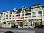 Retail for lease in Willoughby Heights, Langley, Langley, A Avenue, 224962318