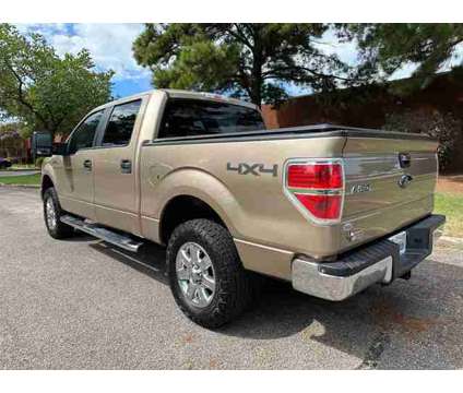 2013 Ford F150 SuperCrew Cab for sale is a Tan 2013 Ford F-150 SuperCrew Car for Sale in Memphis TN
