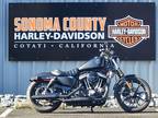 2019 Harley-Davidson SPORTSTER 883 IRON