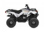 2024 Yamaha Grizzly 90 Youth ATV for Sale