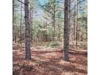Wrens, Jefferson County, GA Undeveloped Land for sale Property ID: 418724294