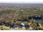 Plot For Sale In Micanopy, Florida
