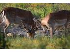 Brady, Mc Culloch County, TX Farms and Ranches, Recreational Property