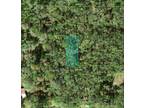 Plot For Sale In Auburndale, Florida