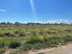 Plot For Sale In Sargent, Texas