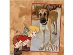 Adopt Cody a Tan/Yellow/Fawn Great Dane / Mixed dog in GLENDALE, AZ (38183700)